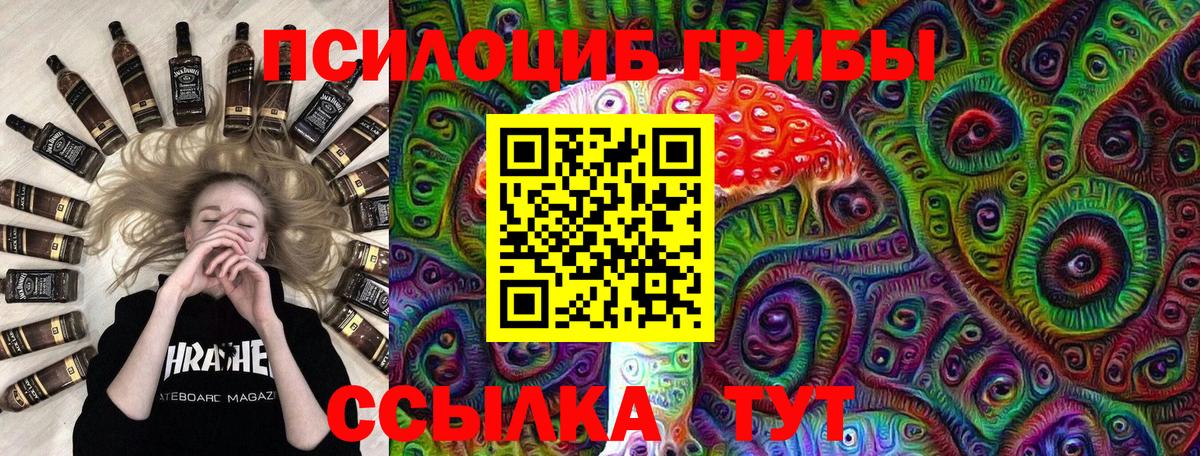 Куйбышев  где найти   Вход с VPN  Псилоцибиновые грибы Psilocybe 