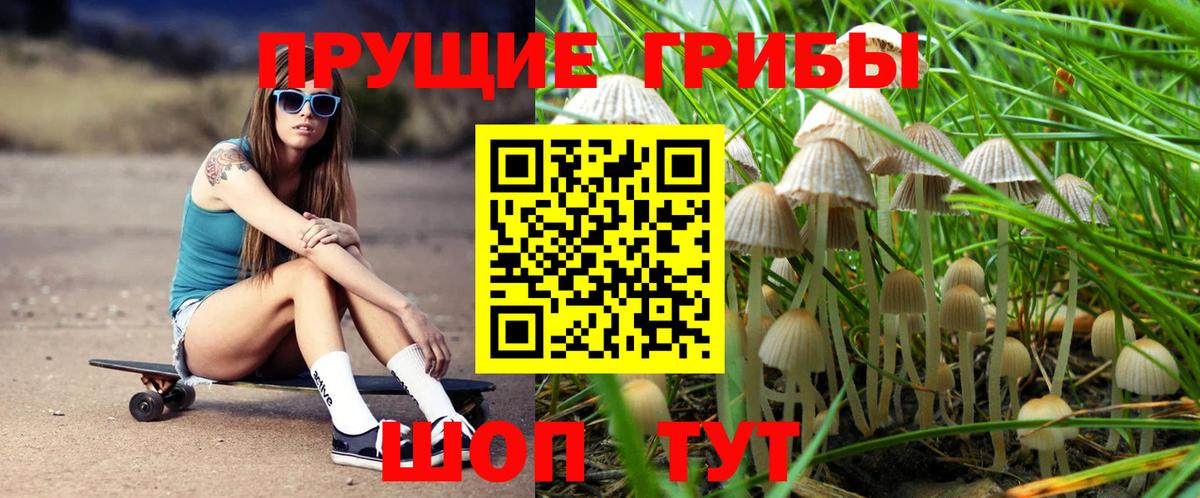 Псилоцибиновые грибы мухоморы Куйбышев